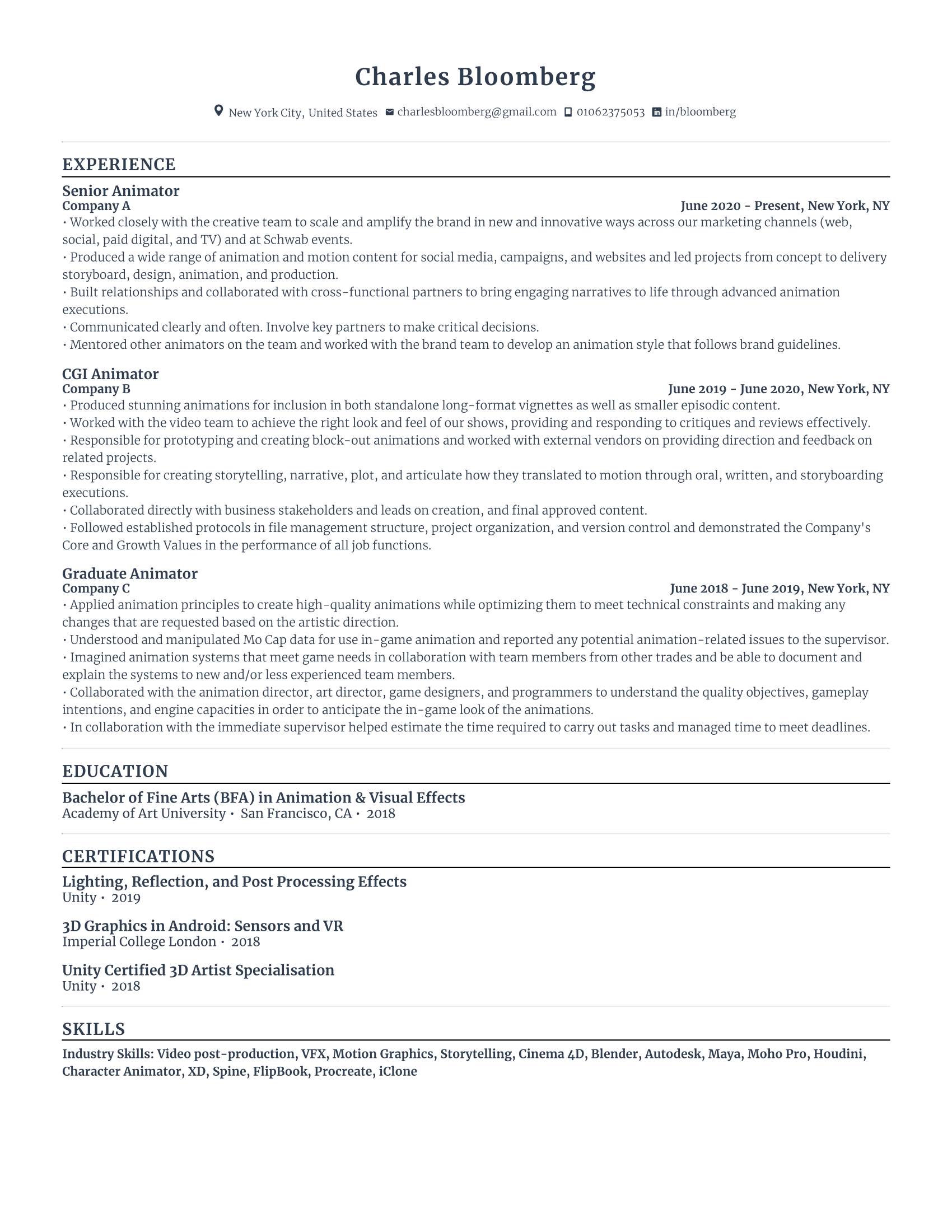 Animator resume with high amount of experience and skills in related fields from various companies.
