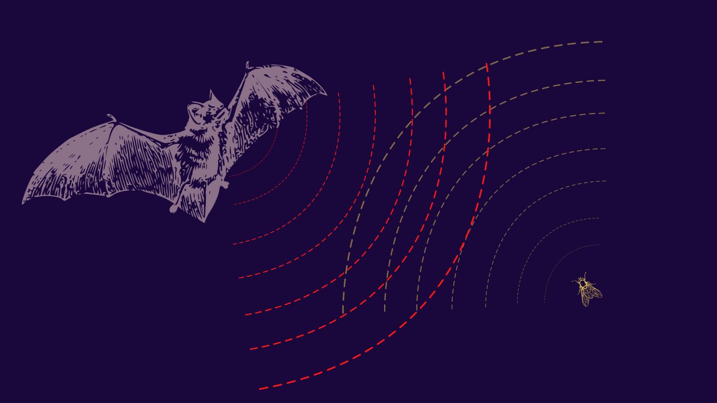 Sensoria Obscura: Ultrasonic Sensors
