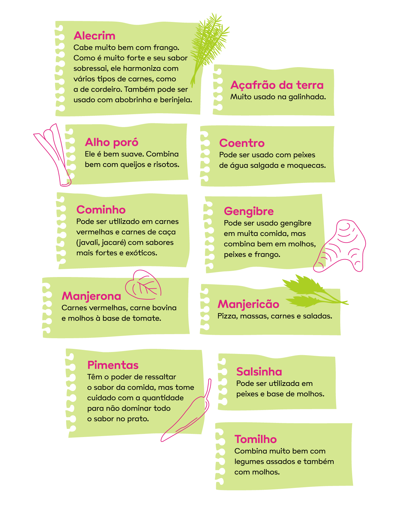 imagem ilustrando opções de temperos para substituir o sal