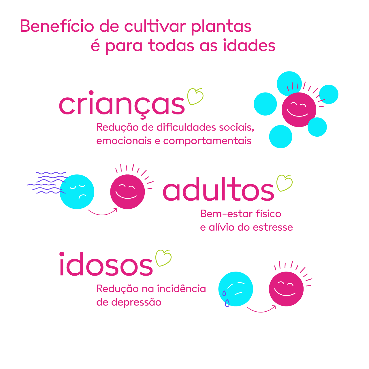benefícios de cultivas plantas