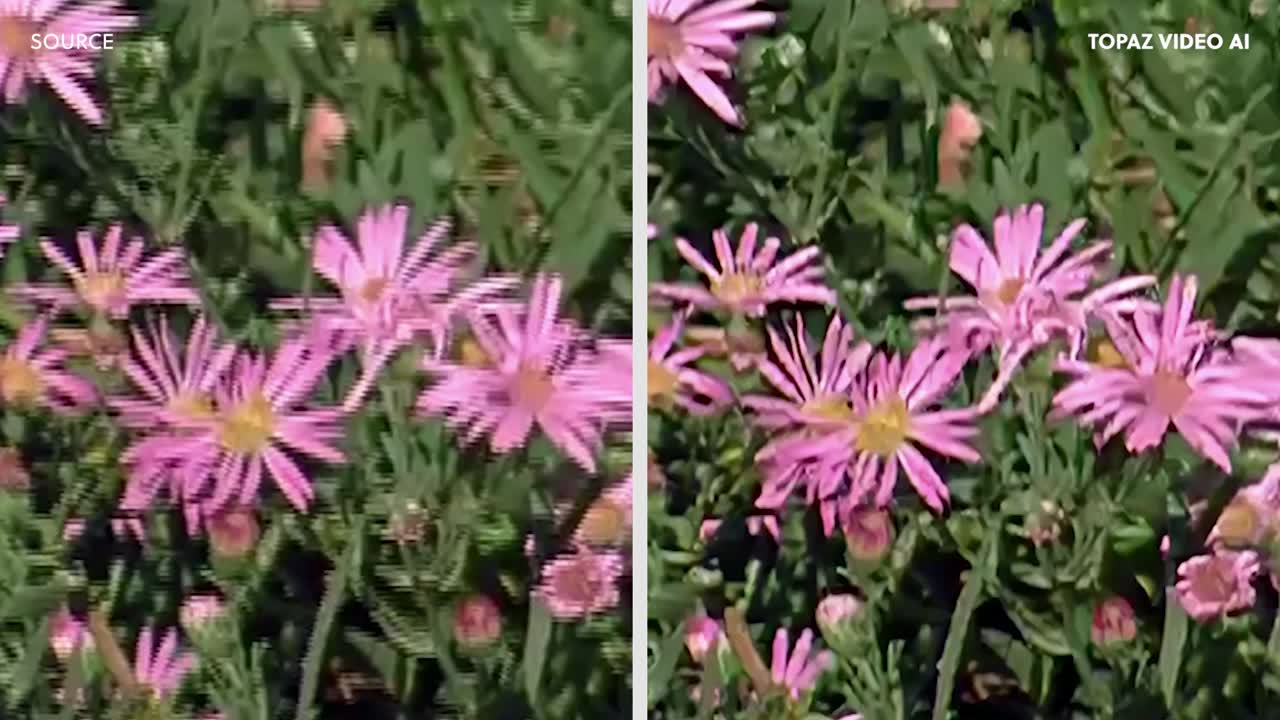 Topaz Video AI
