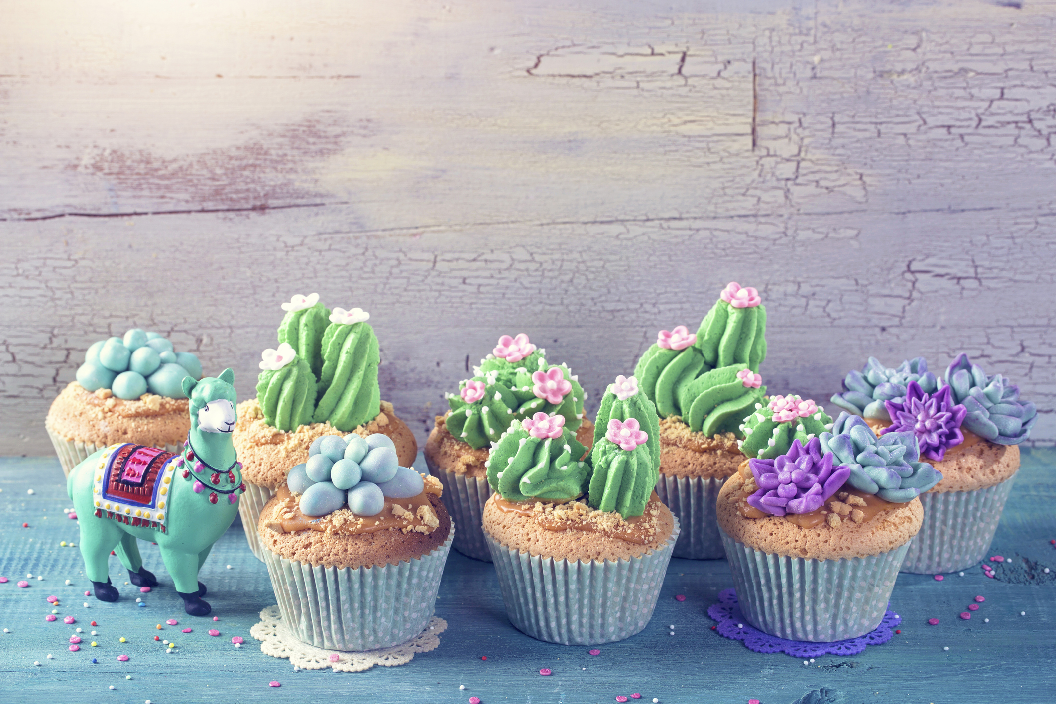 Five Ways to Cook Cactus Article