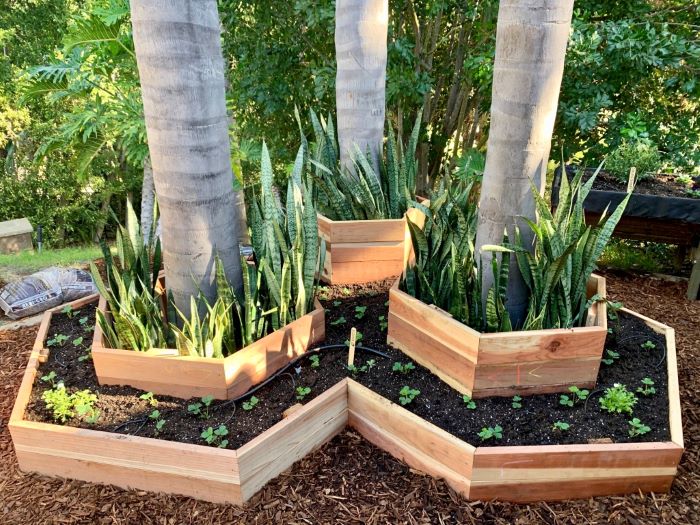 Beginner’s Guide to Vegetable Gardens Raised Beds vs. InGround Beds Article