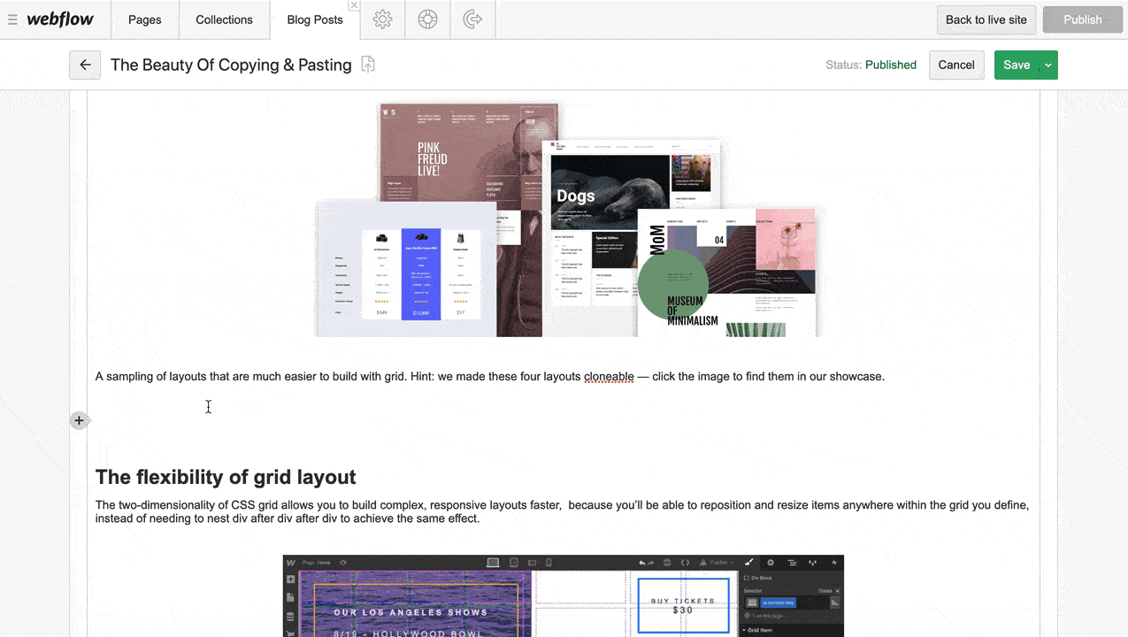 webflow rich text editor