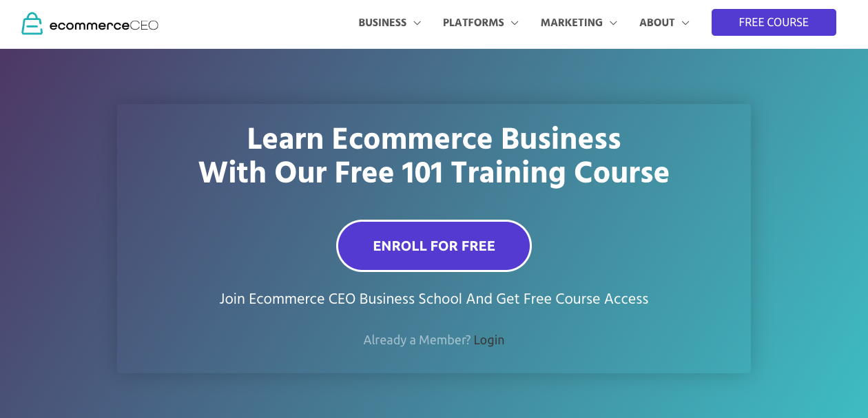 Ecommerce CEO homepage.