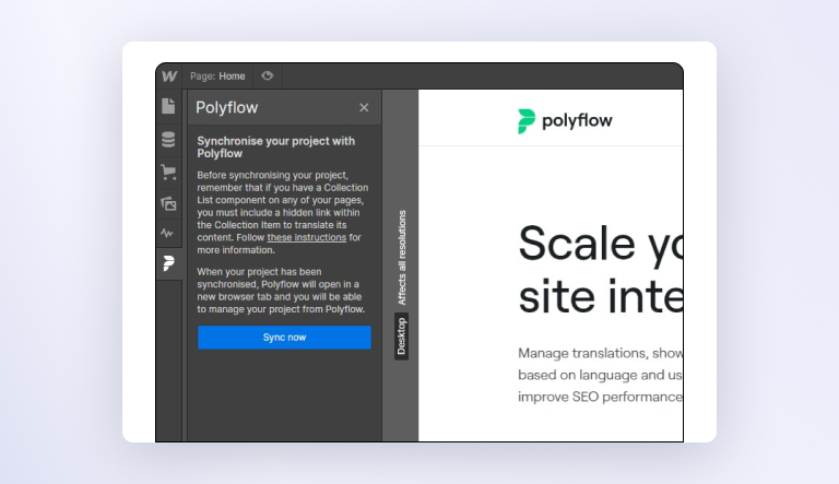 Image of Polyflow inside Webflow Designer
