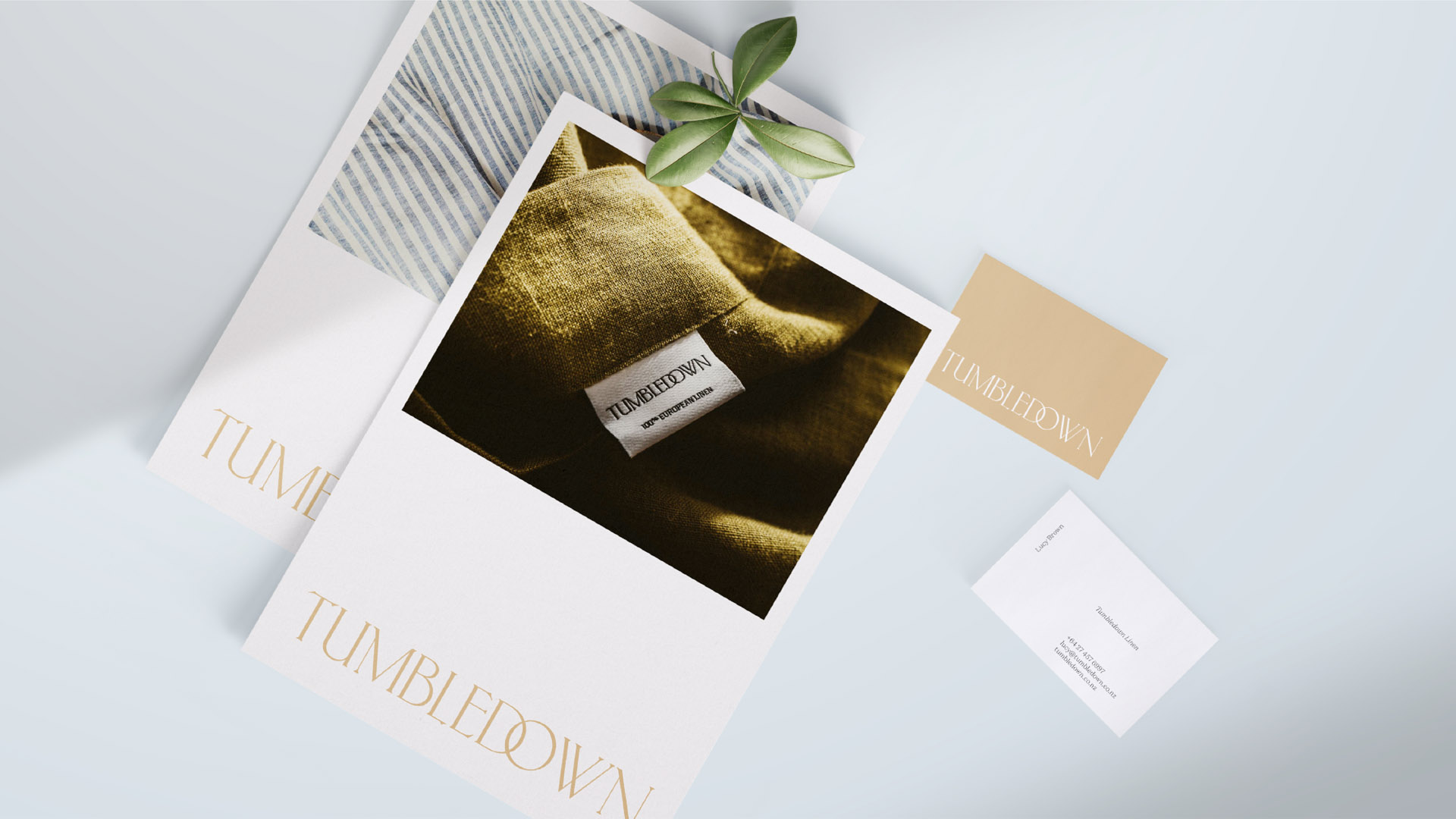 Tumbledown brand kit