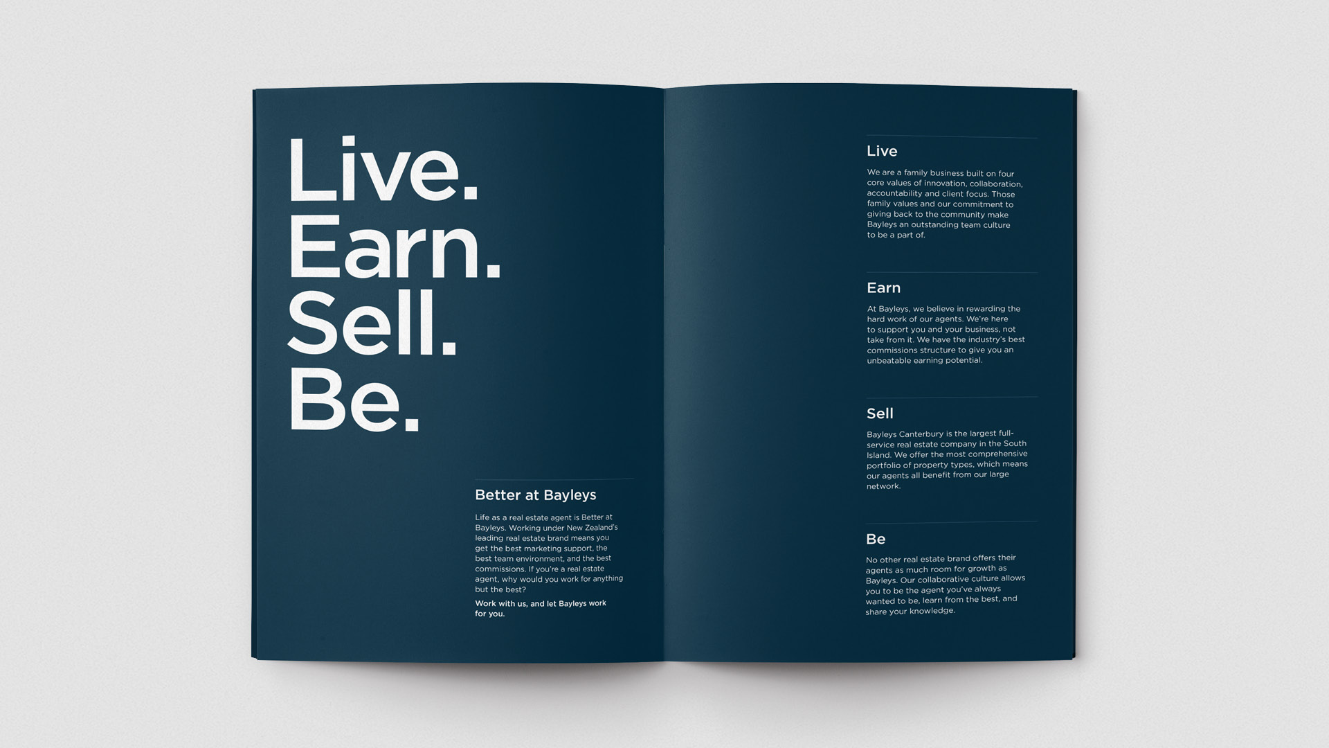 Better At Bayleys agent booklet design
