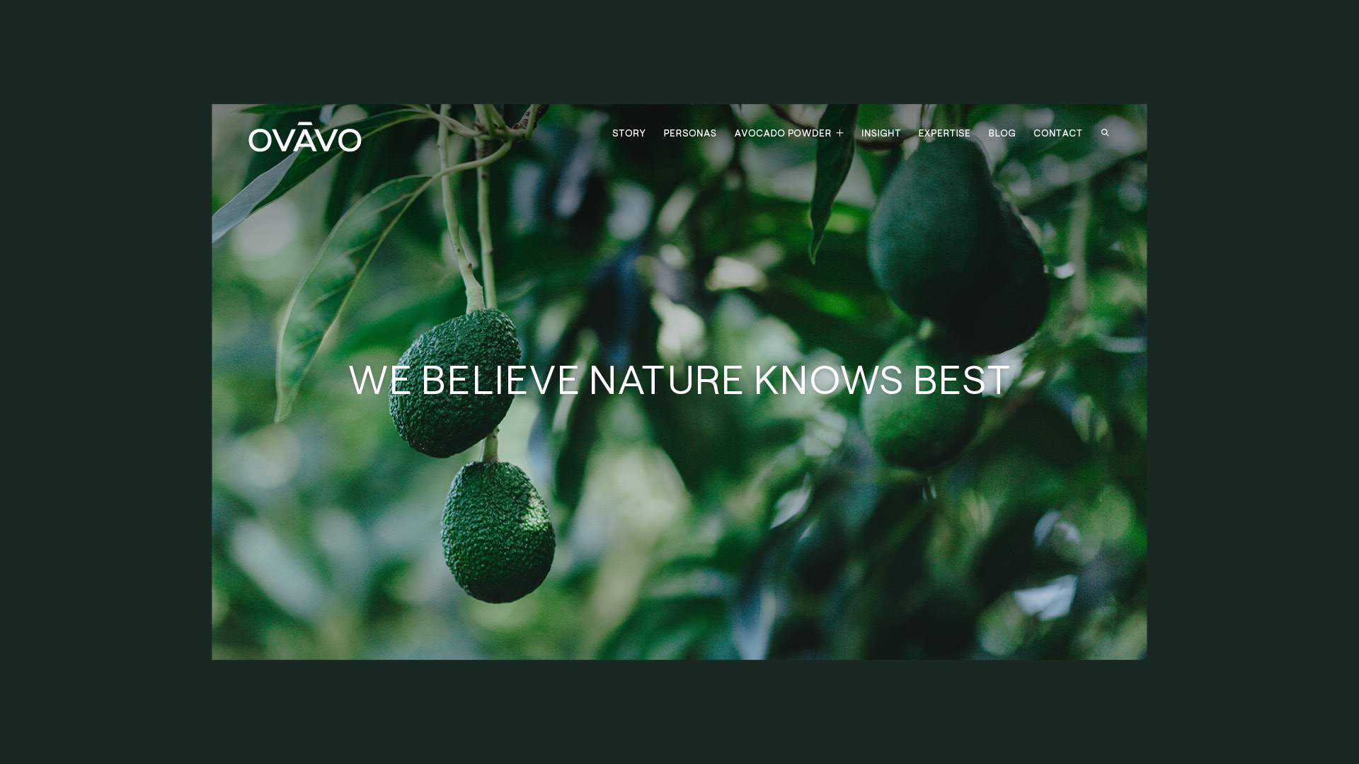 Ovavo website's desktop homepage design