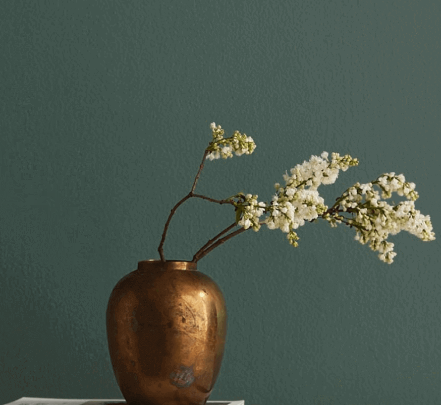 Clare Paint Details and Review (2024)