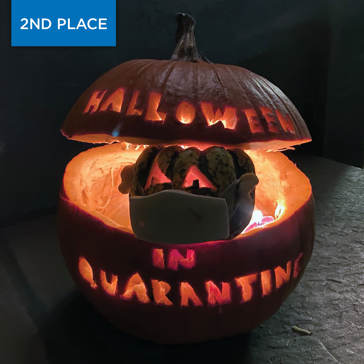 2020 Pumpkin Winner Creative 2