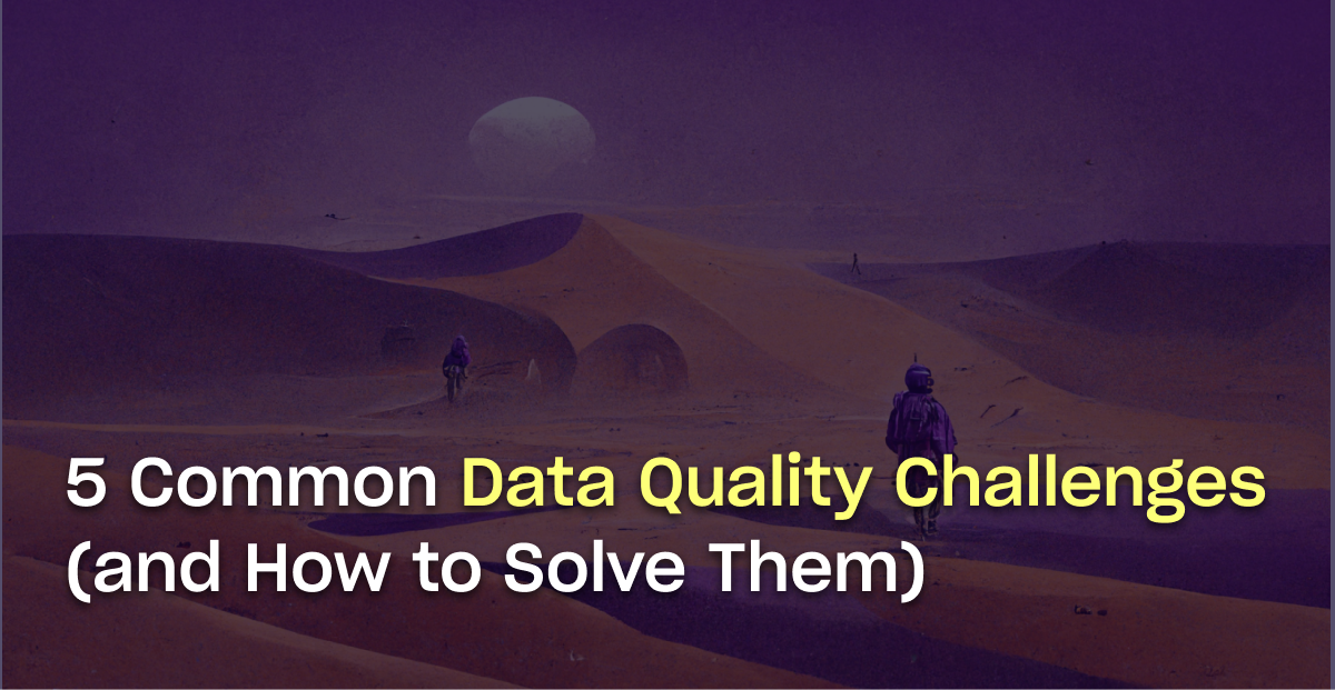 5 Common Data Quality Challenges (and How to Solve Them) | Metaplane