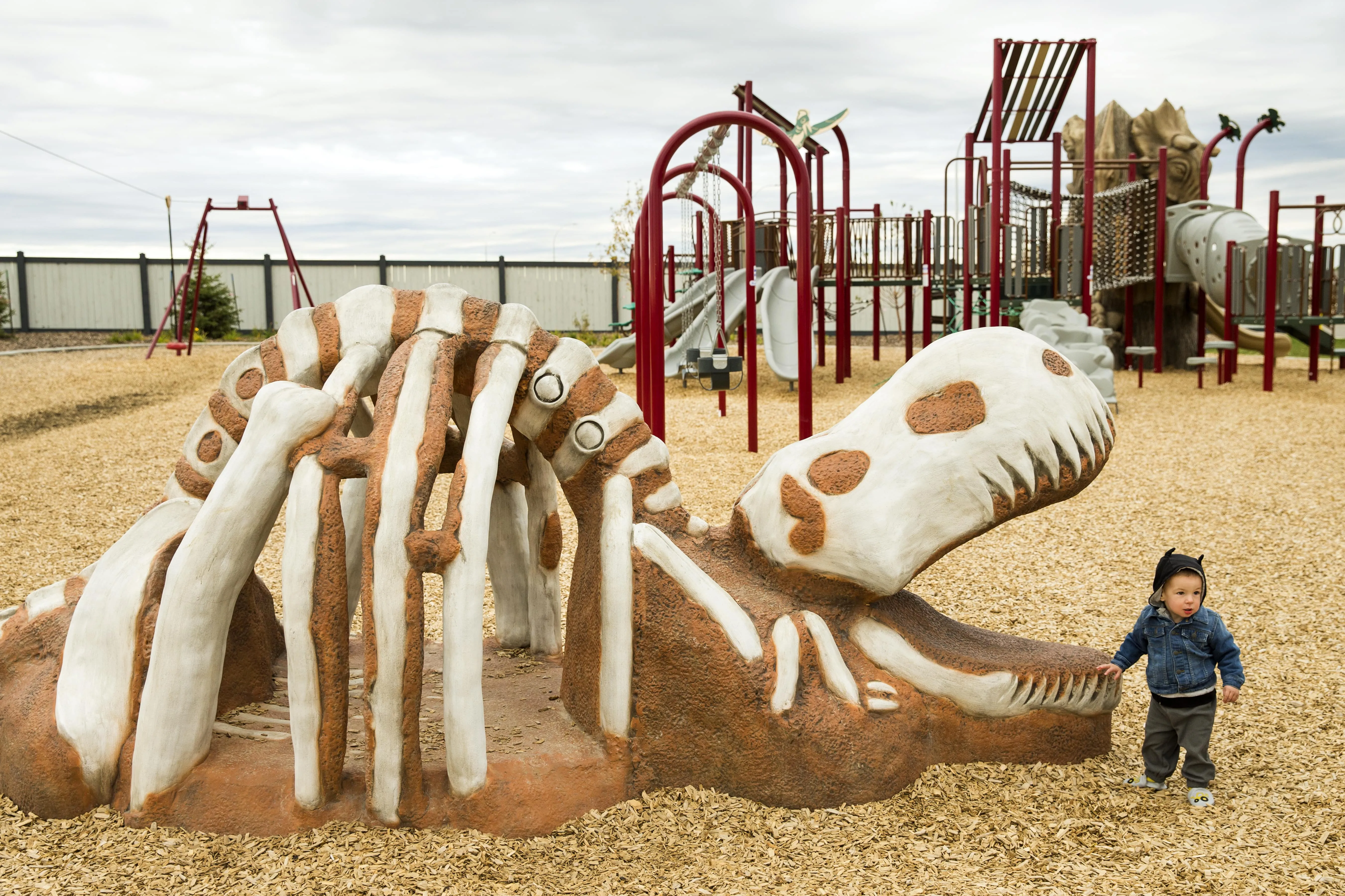 meadowview custom dinosaur playground equipment
