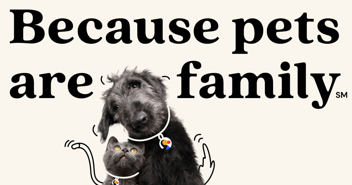 Petplan Pet Insurance