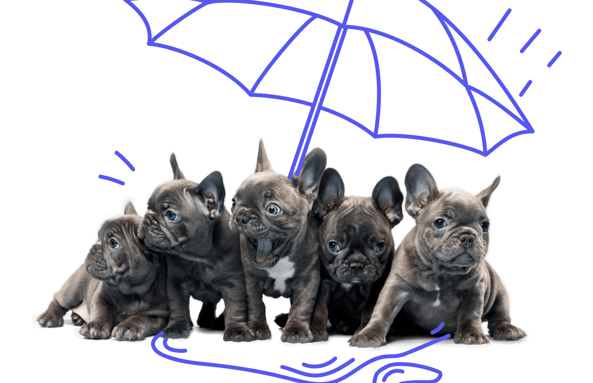 A group of puppies under an umbrella.