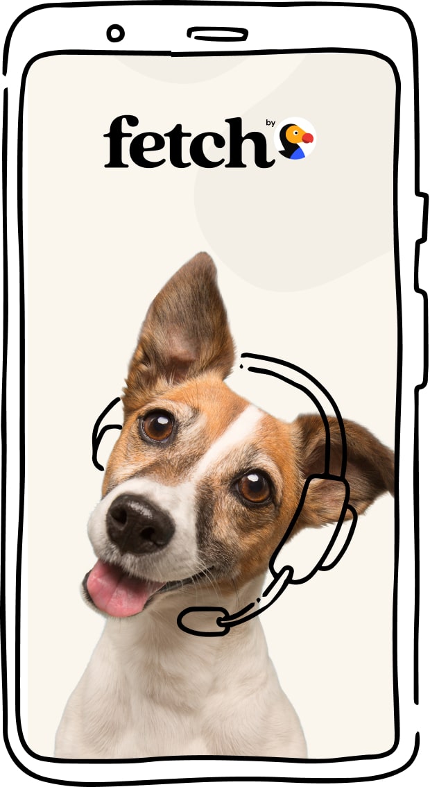 Onboarding 101 Fetch Pet Insurance