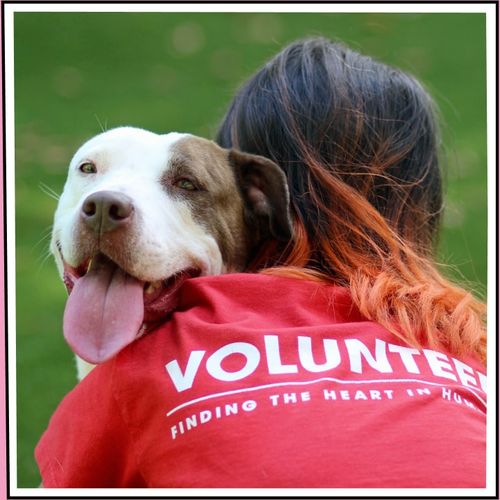 Fetch Pet Insurance Reviews Fetch Pet Insurance