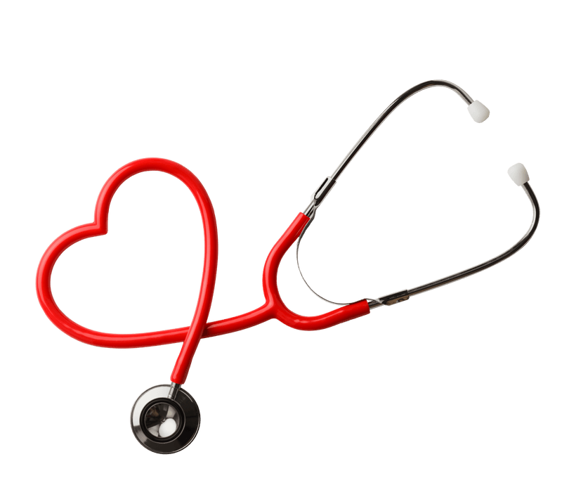 Veterinary Advisory Board Fetch Pet Insurance