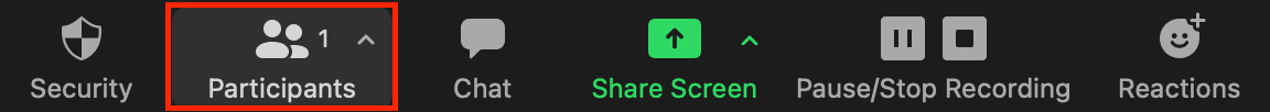 You will see this tool bar on a Zoom. Click on Participants, second from right.