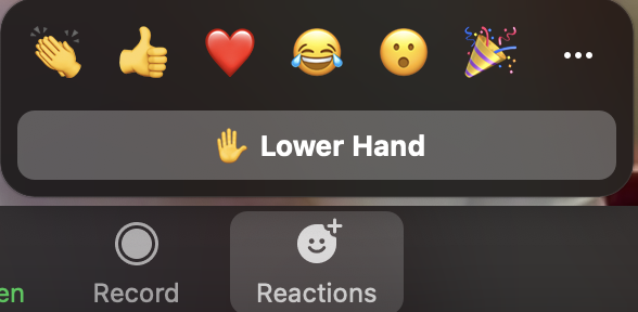 To lower your hand, return to the participant toolbar and click the same button.