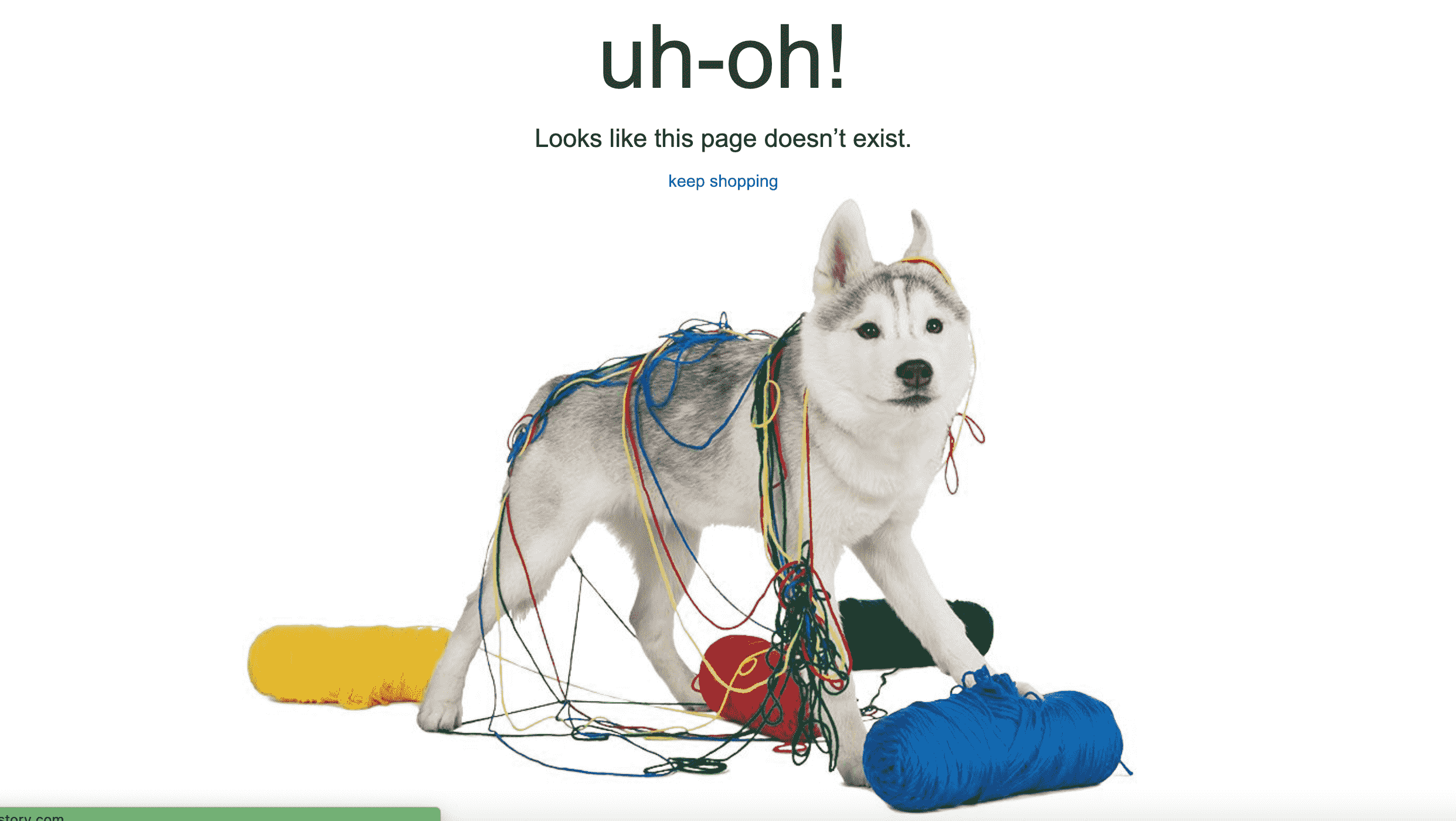 404 page on an e-commerce site 