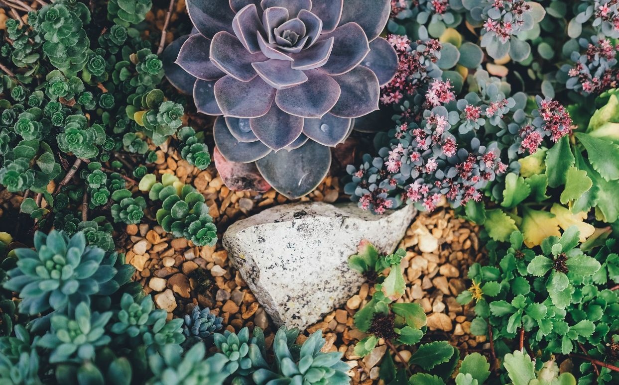 Botaniske hager
