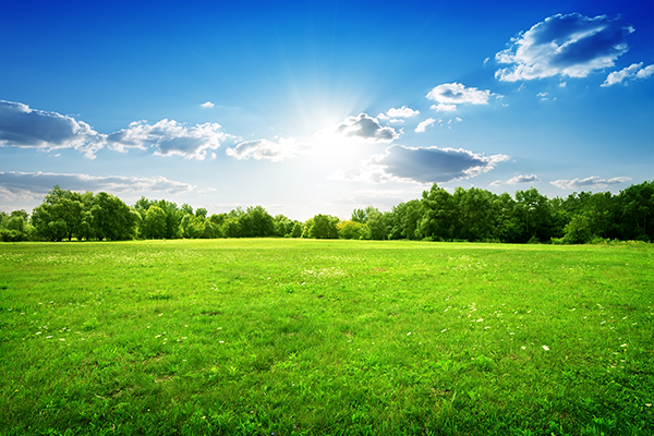 Part 2: Grounding through uncertainty