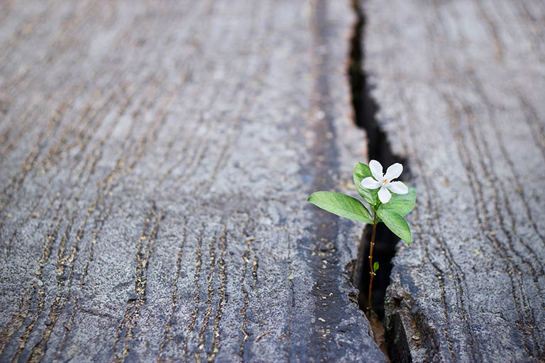 Getting through grief