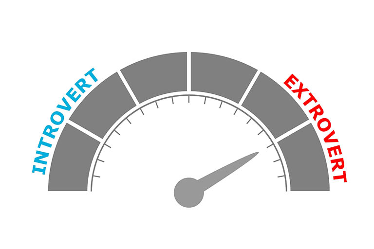 The introvert and extrovert spectrum