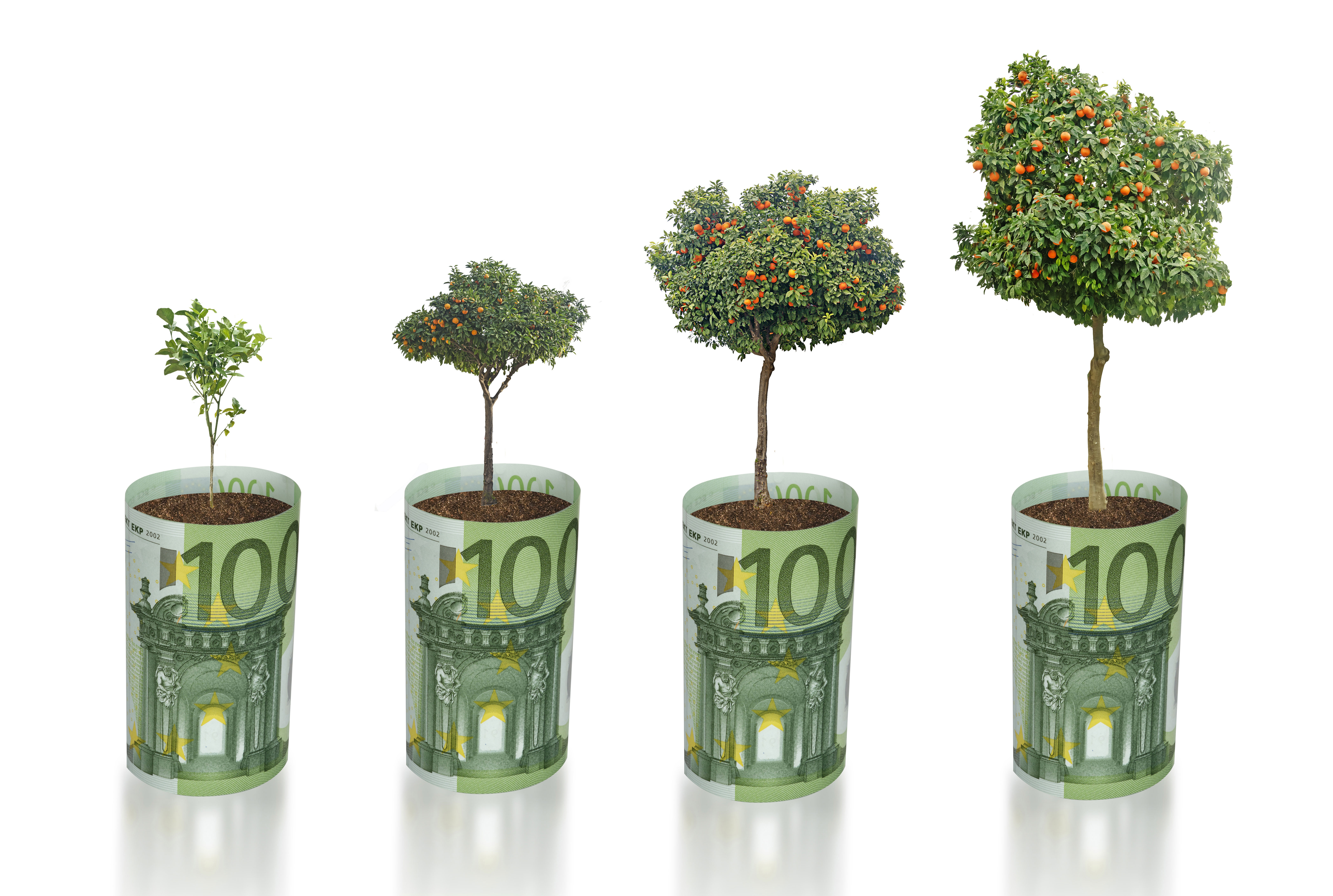 How to Offset Carbon Easily Using the Emporia Vue