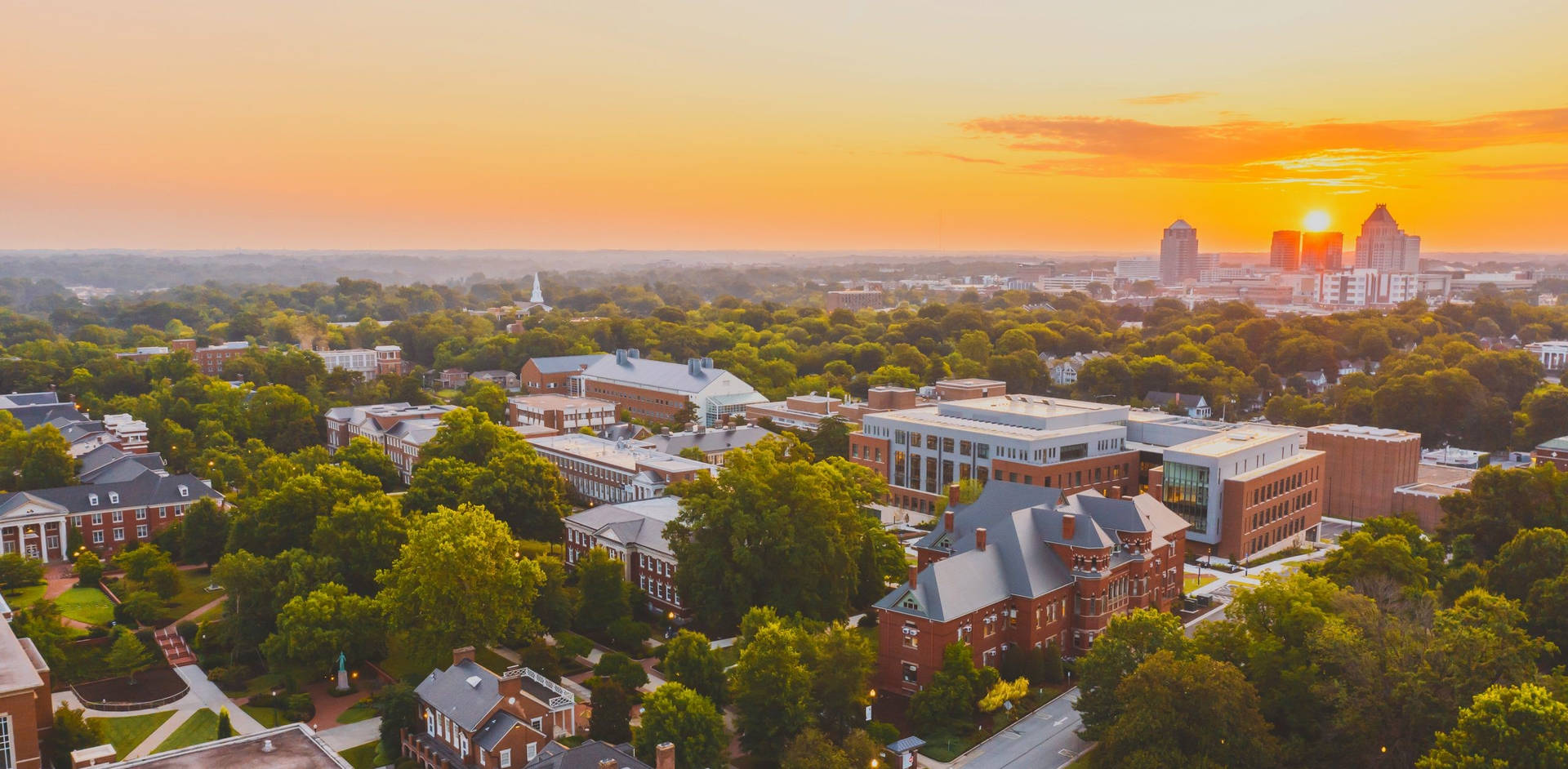 Is Vanderbilt Ivy League? Understanding Vanderbilt's Reputation and