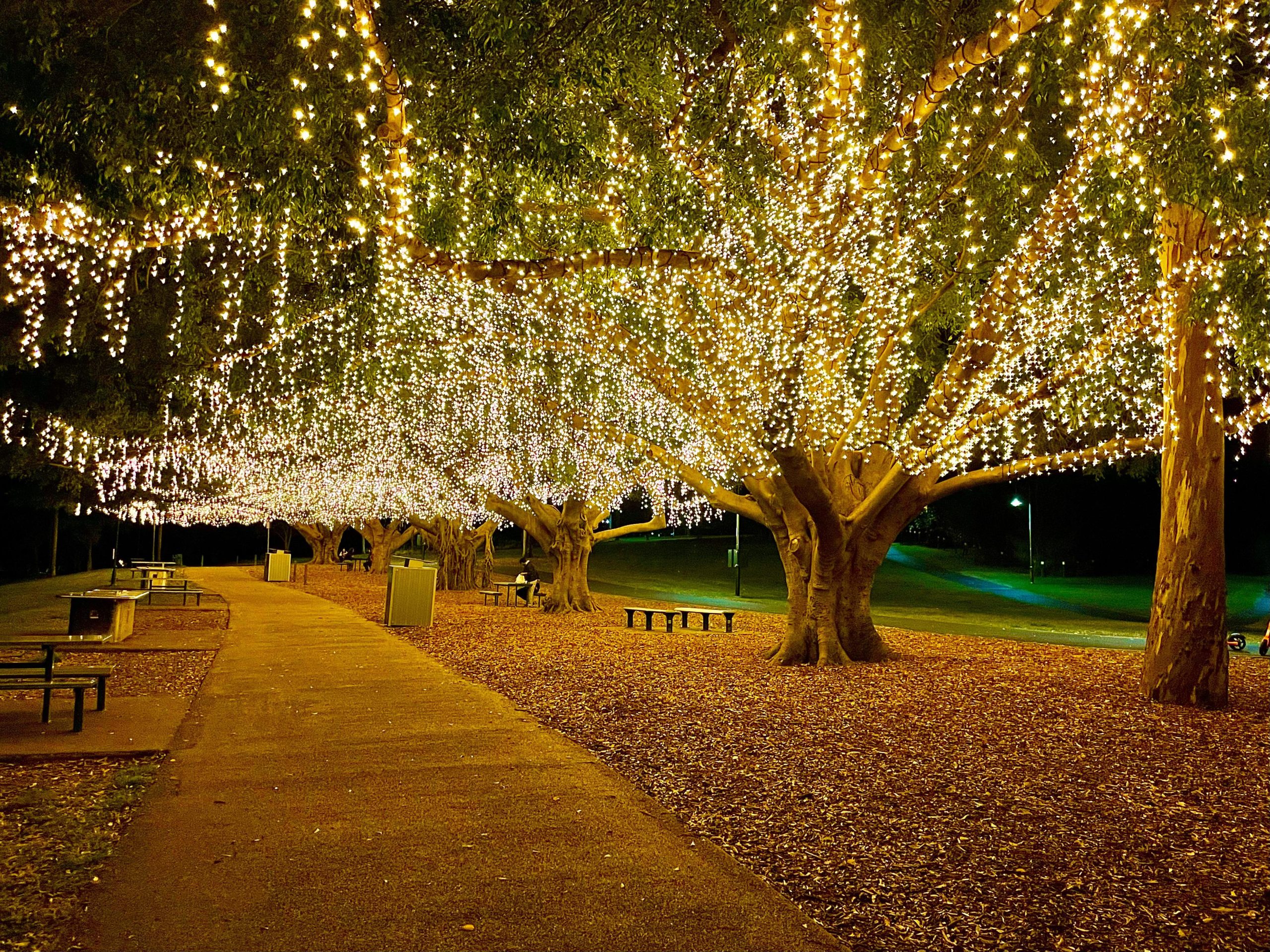 City Centre To Come Alive With Light Mackay Whitsunday LIfe