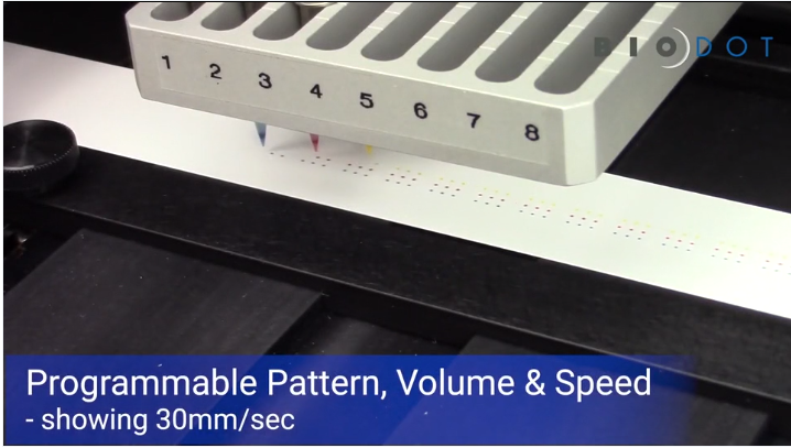 Multiplex Array Web Printing for Lateral Flow Devices