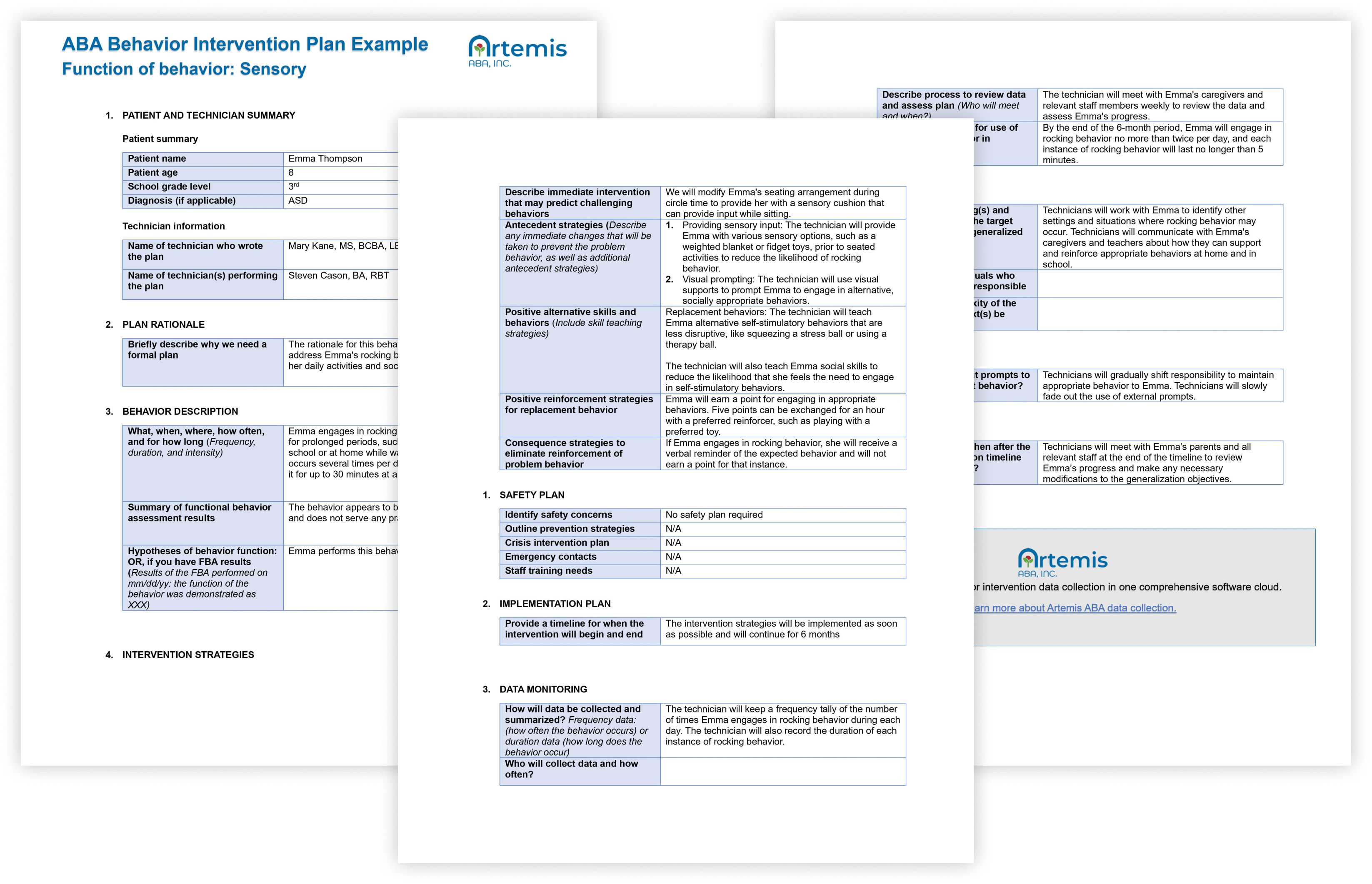 Example of BIP for Sensory Stimulus