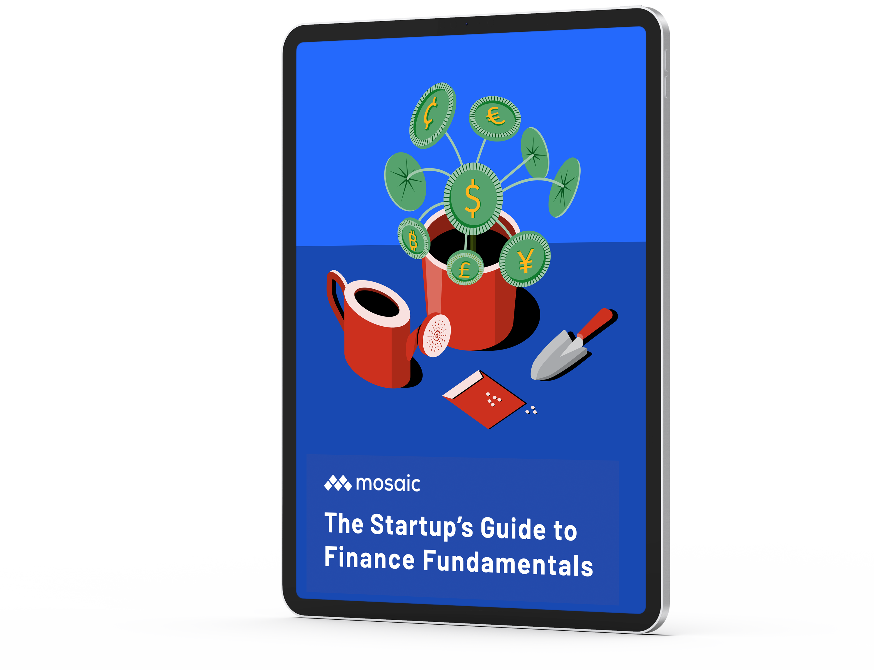 The Startup’s Guide to Finance Fundamentals