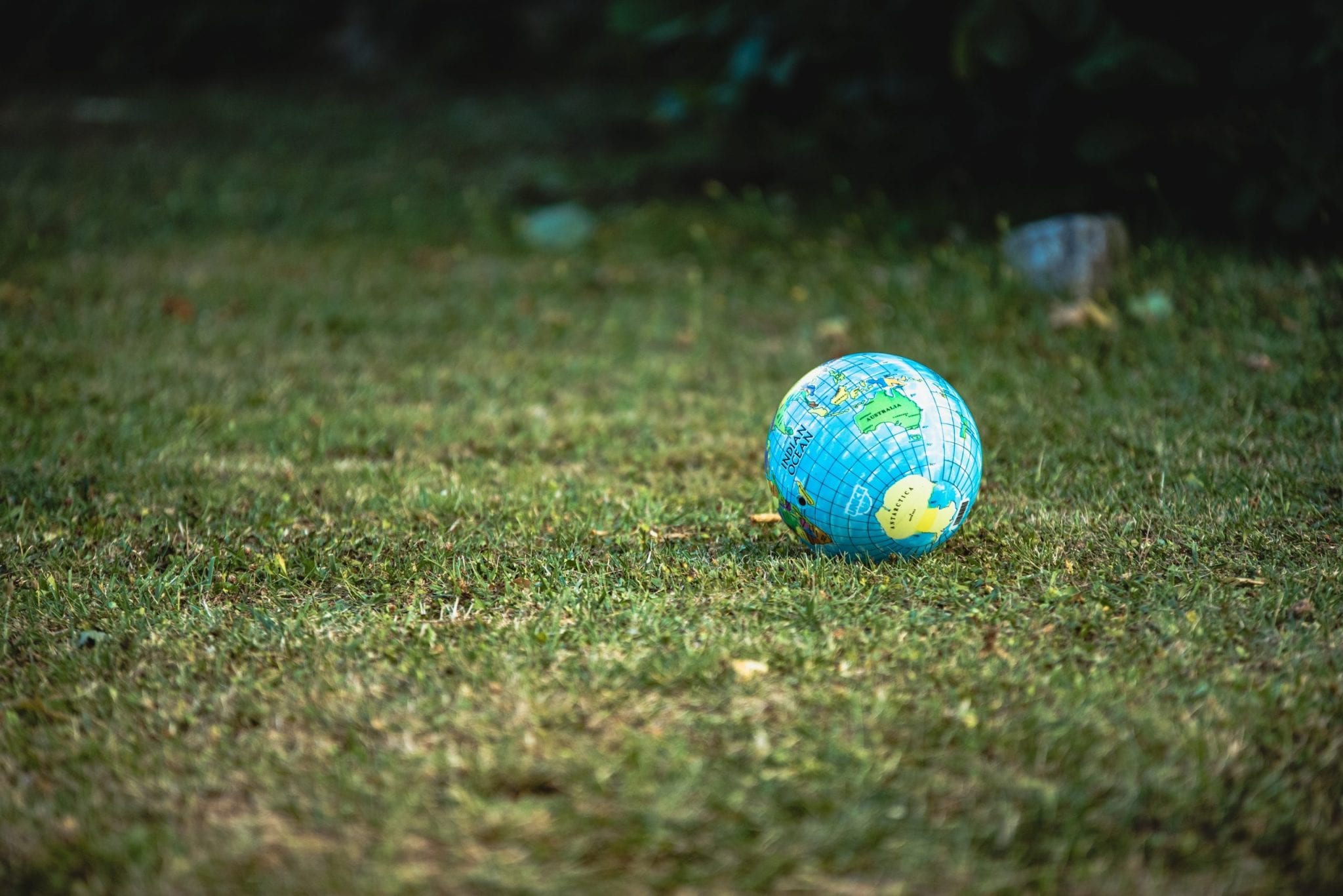 Covid-19 : la pollution diminue, la nature reprend ses droits