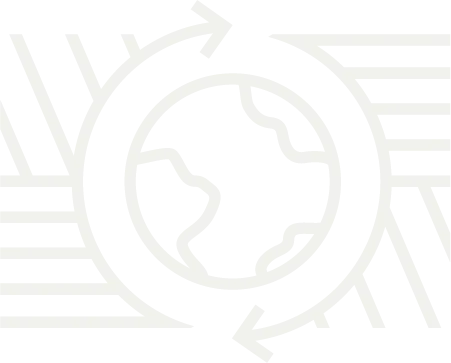 icon of the globe in circular and linear patterns