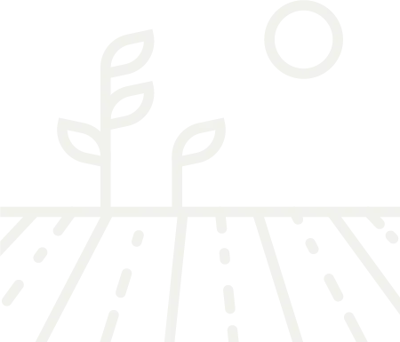icon of crops growing under the sun