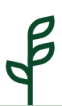 icon of plant stalk