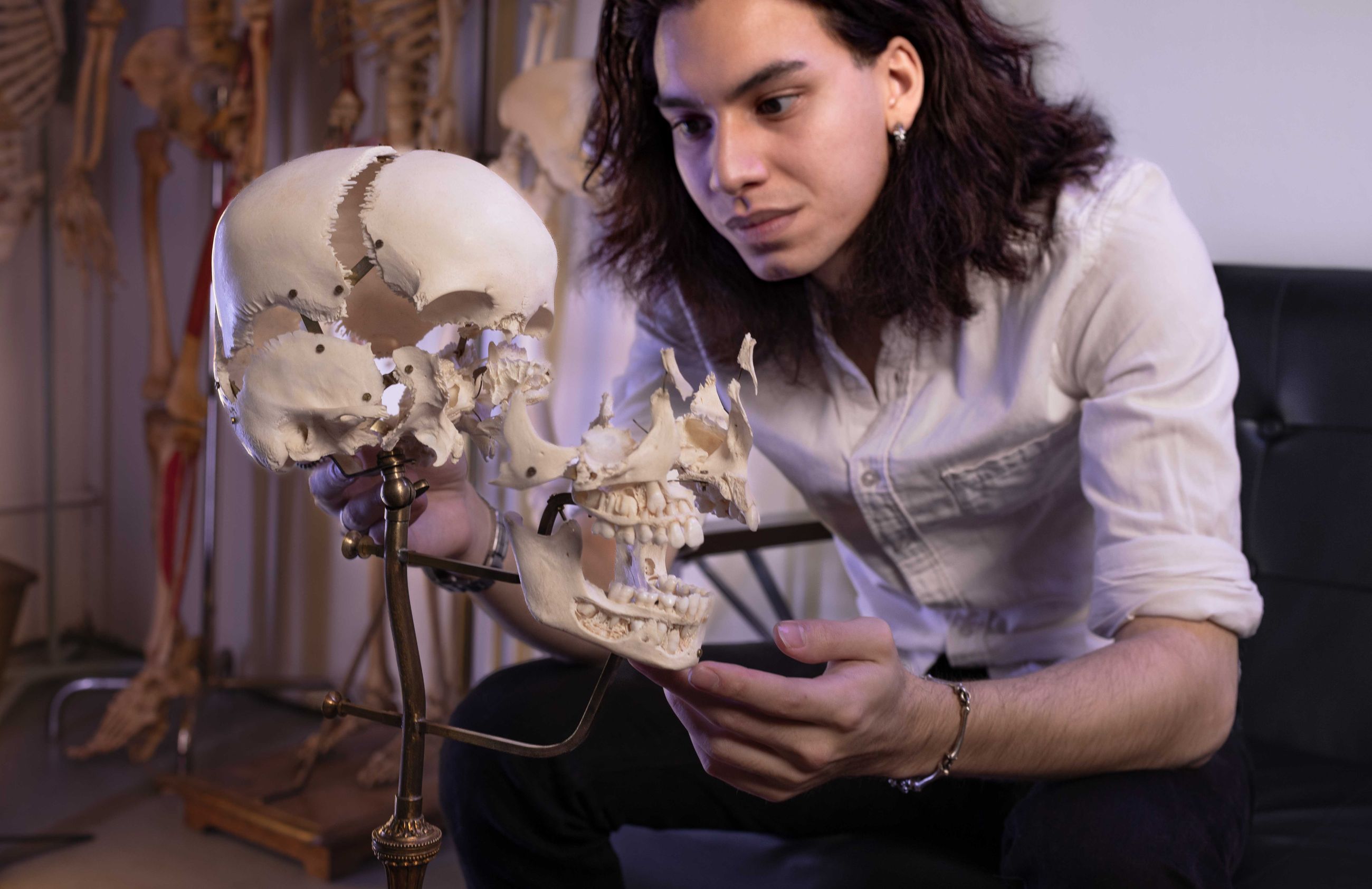 High Quality Bone Reference Photos | JonsBones: Osteology Education