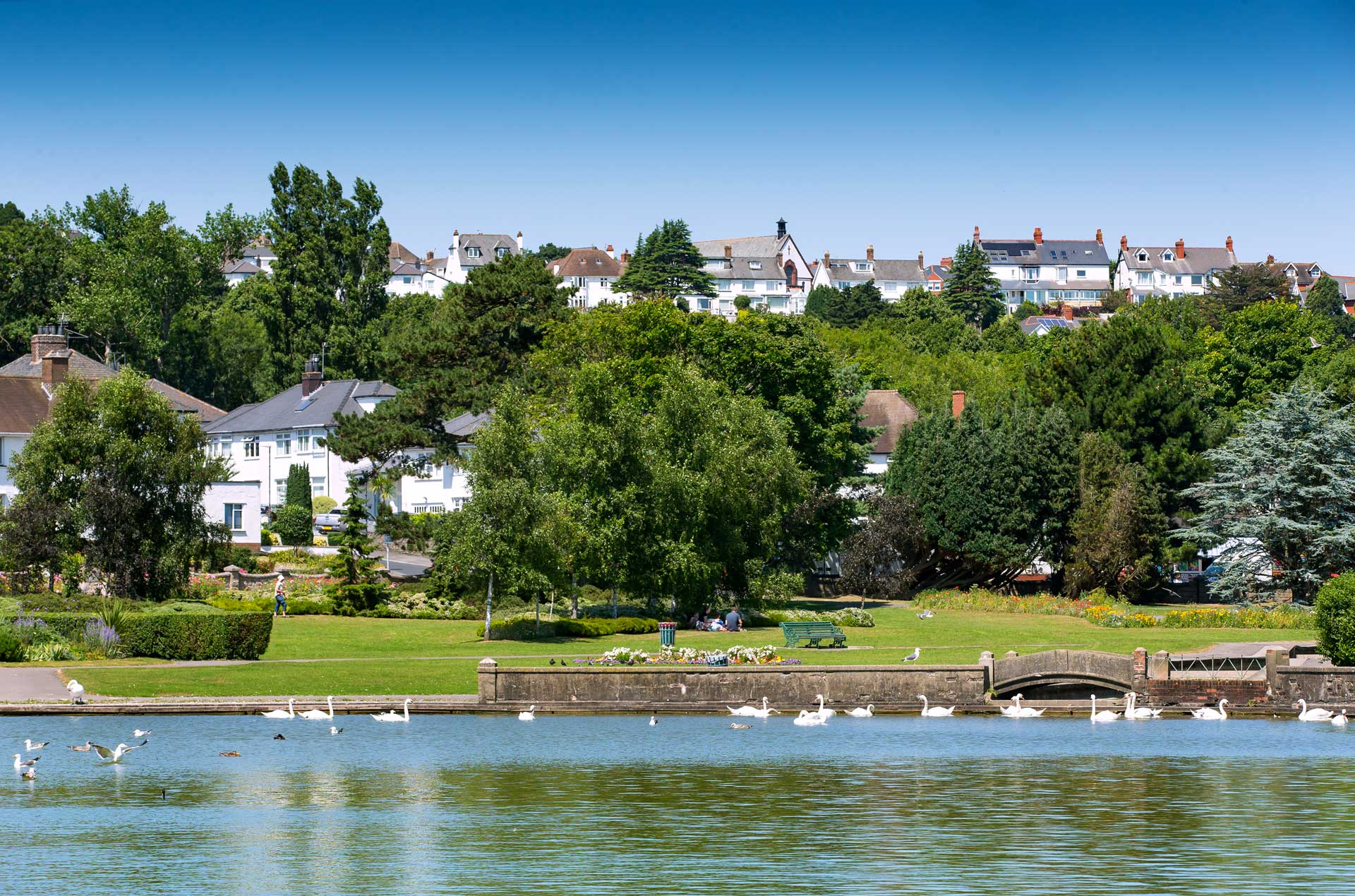 See what's on in The Vale of Visit The Vale