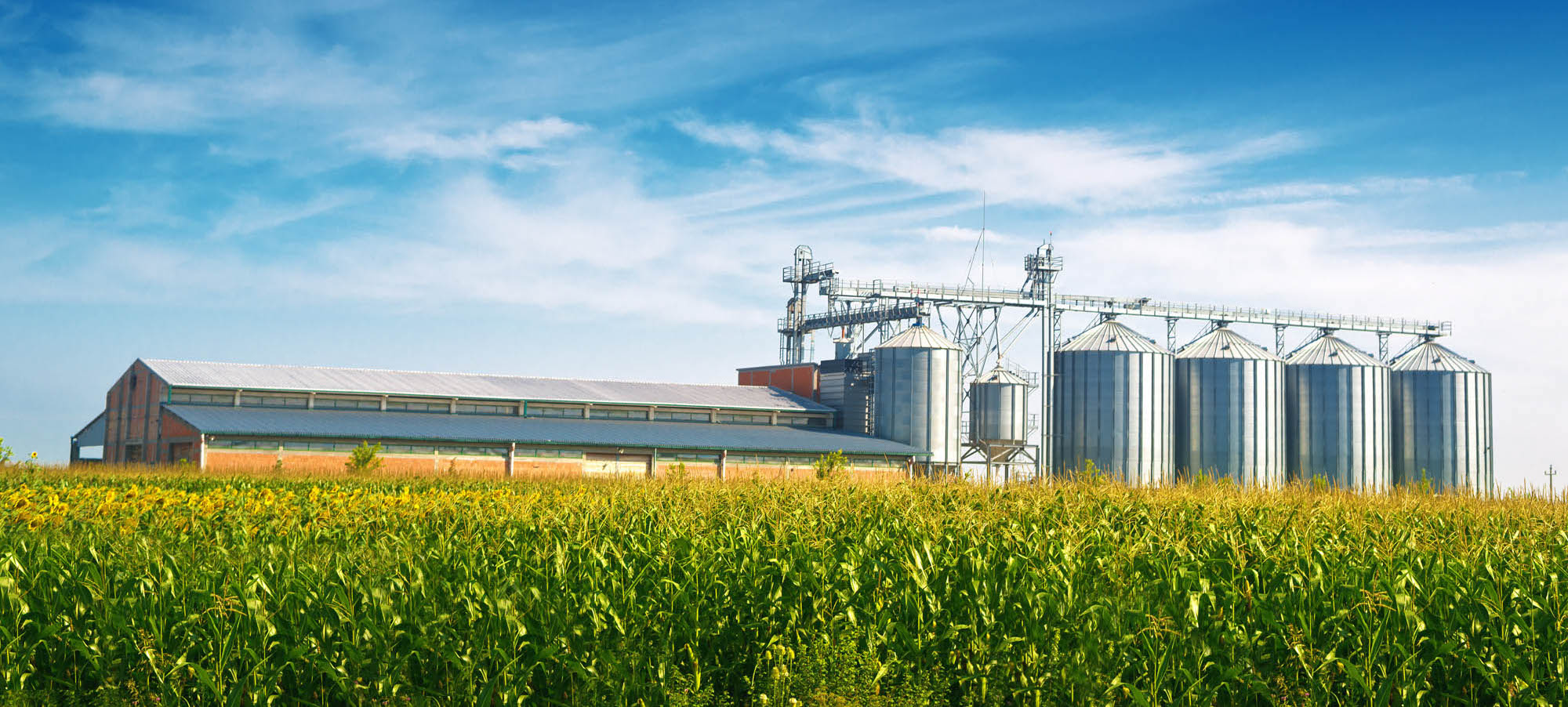 KPM Analytics - Farming