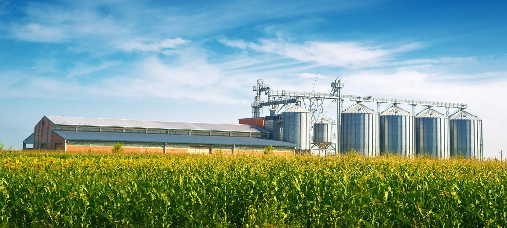 KPM Analytics - Farming