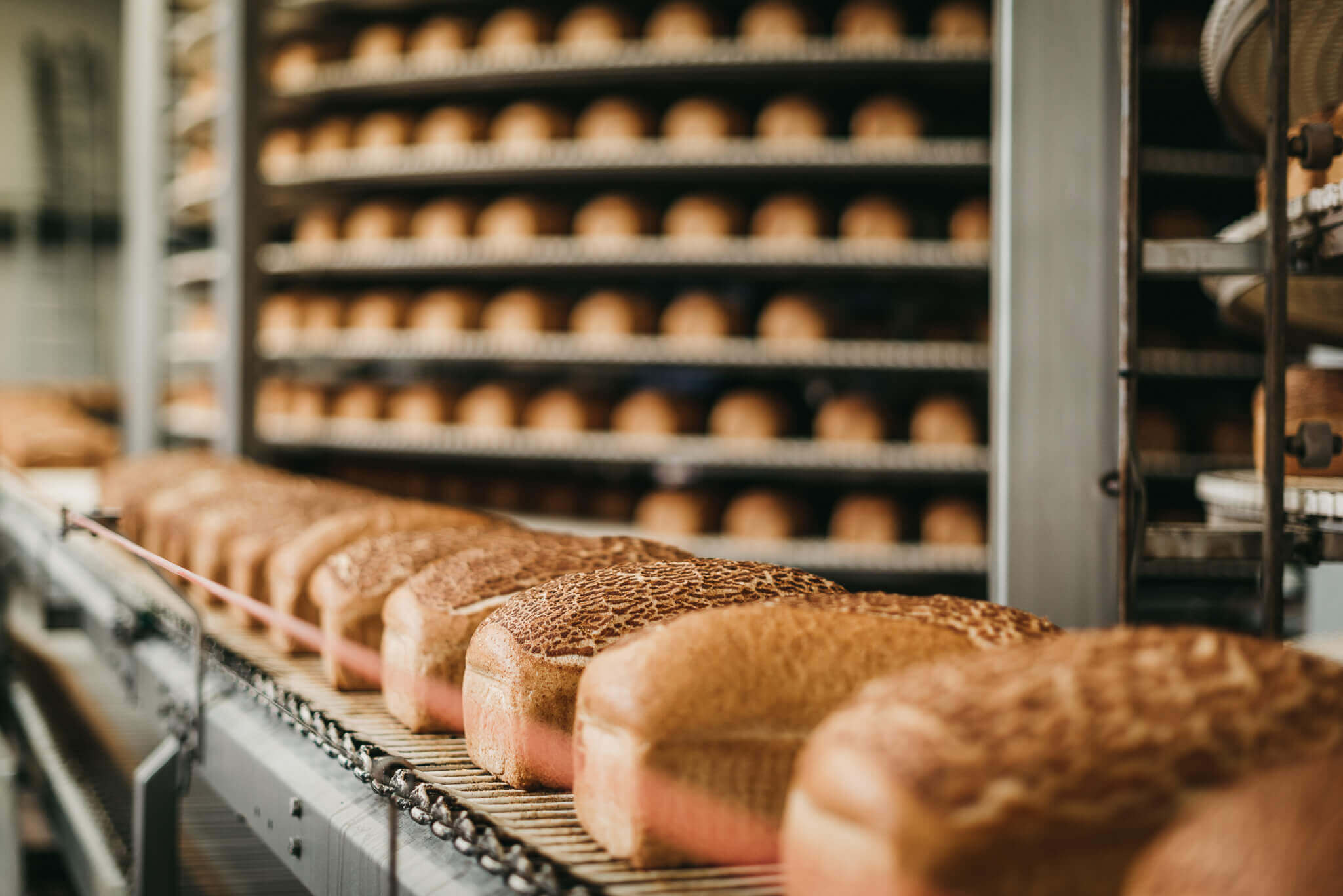 Artisan Bread