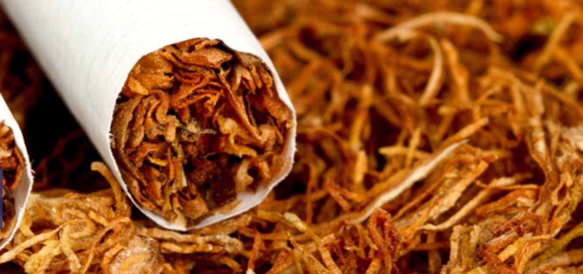 Tobacco