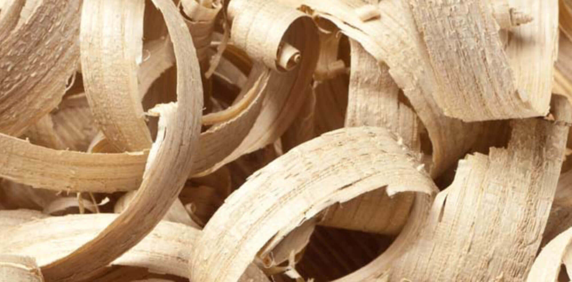 Wood Products