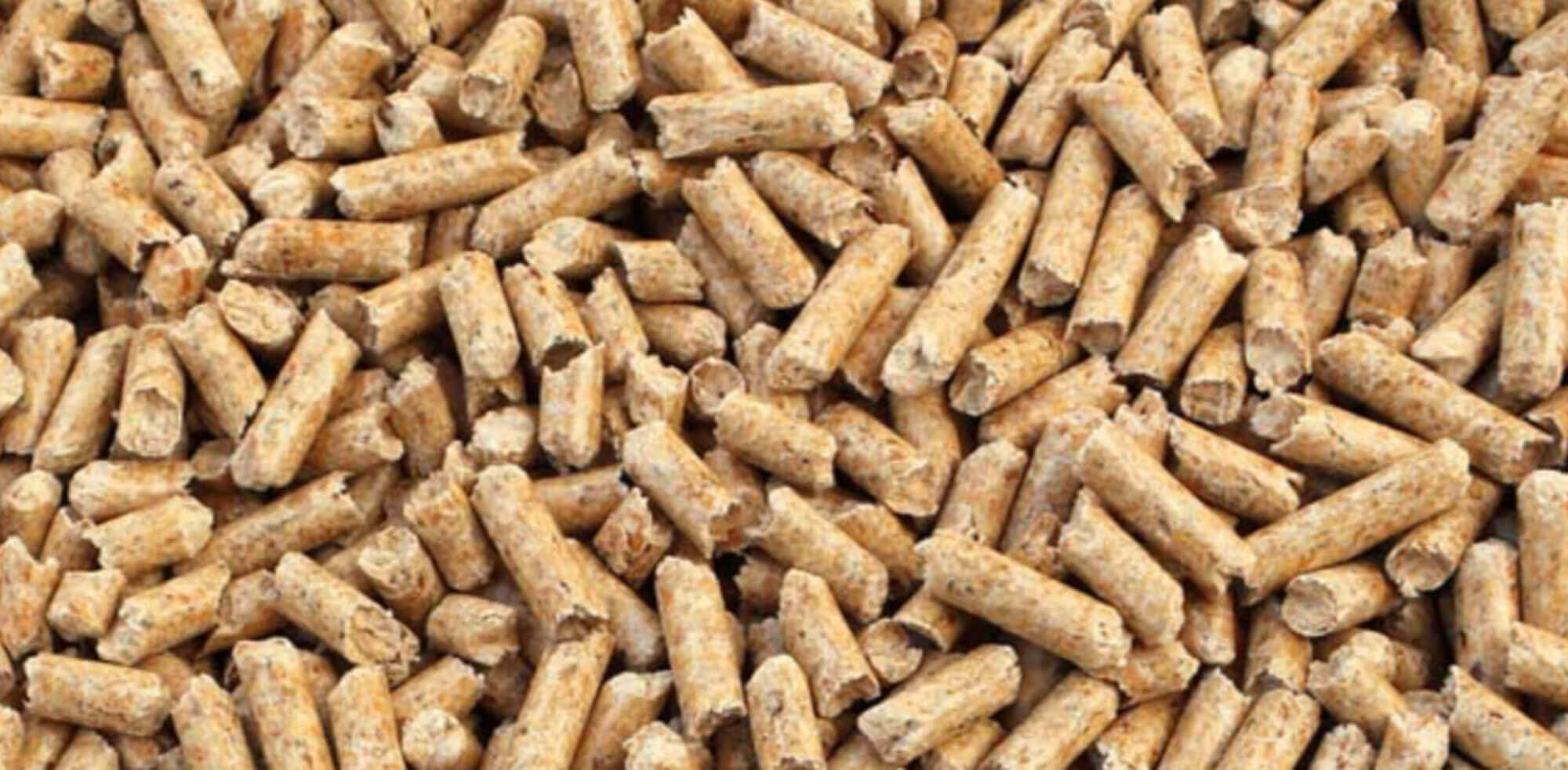 Biomass