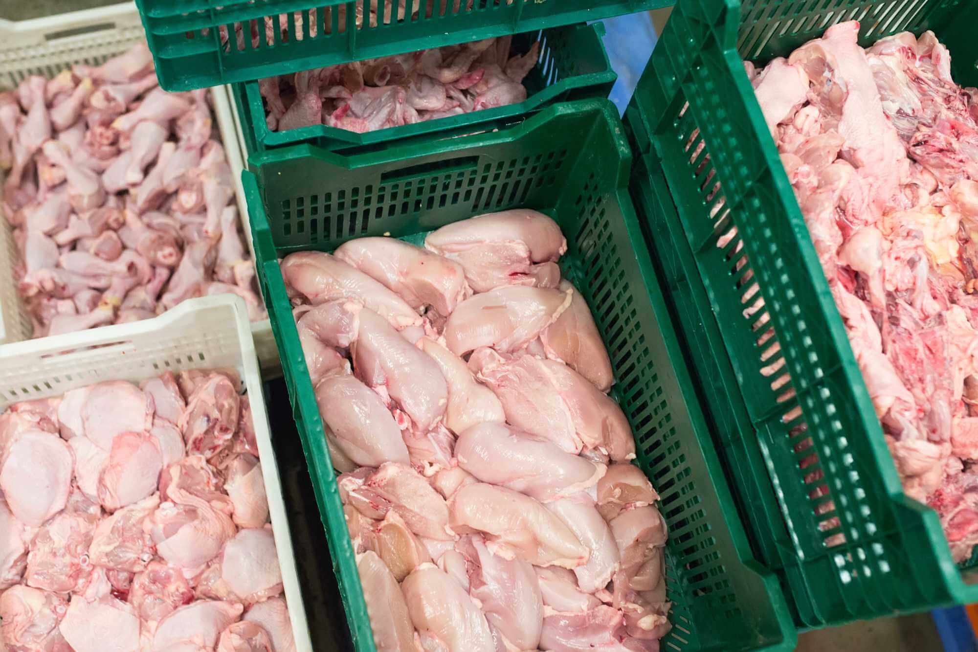 Raw Poultry