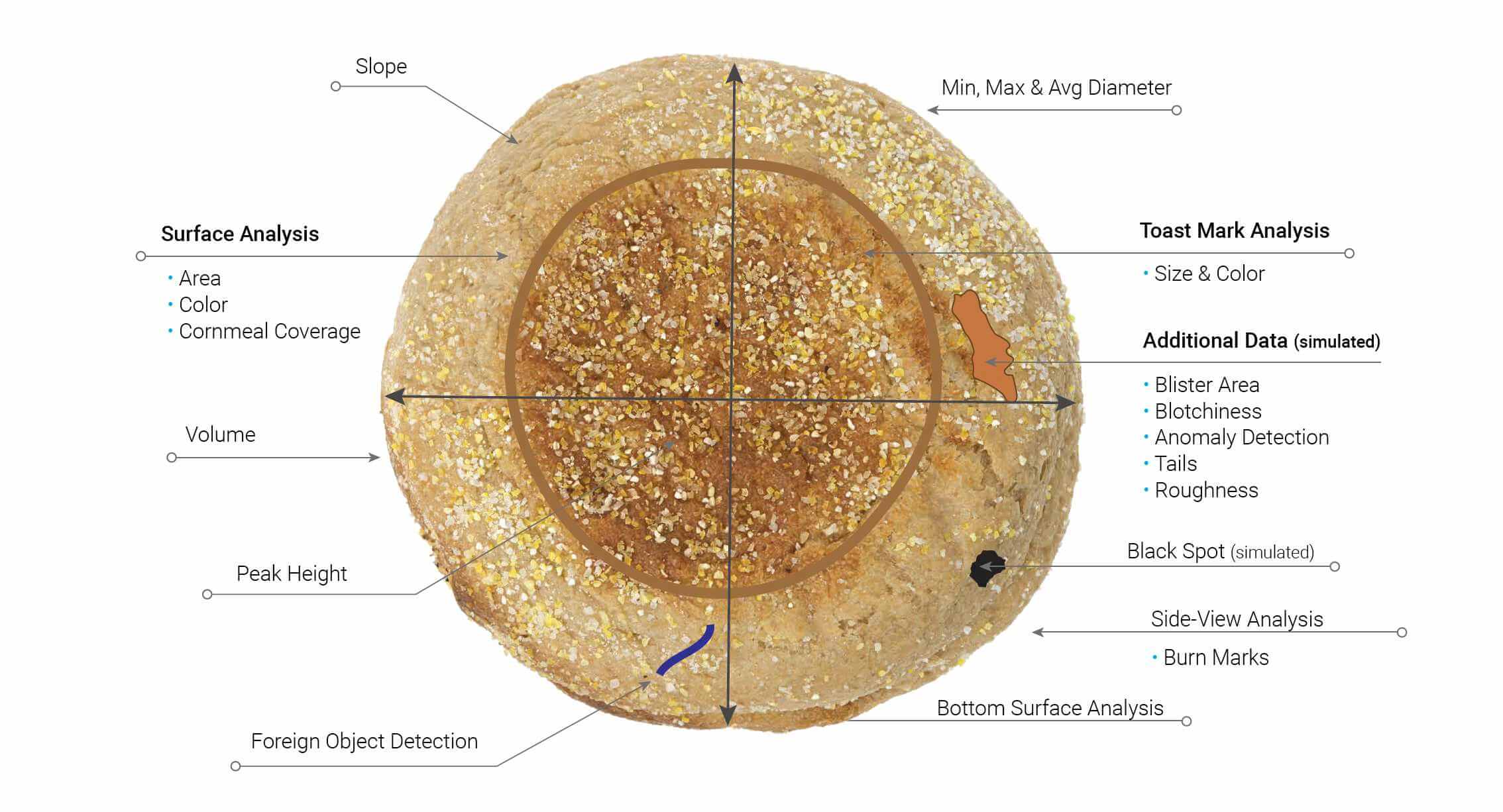 English Muffins Measurements