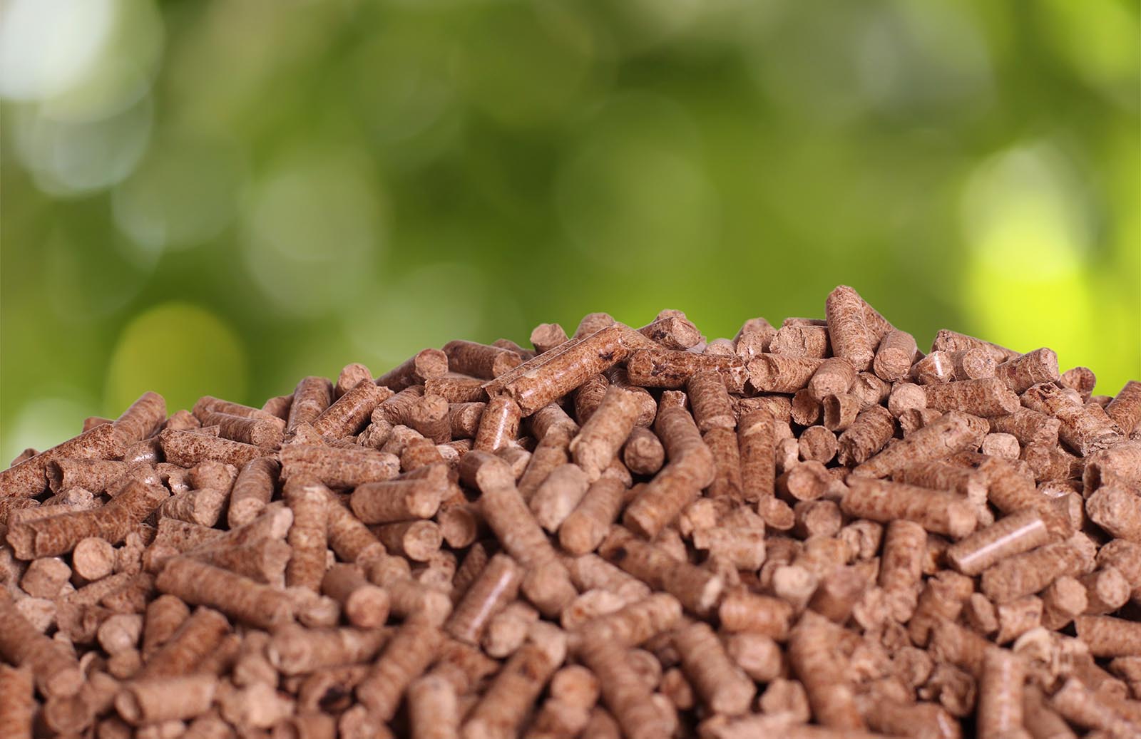 Biofuels